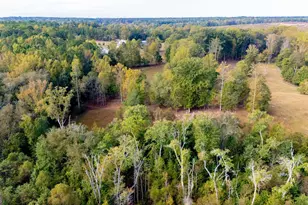 1750 Bishop Rd, Luthersville, GA 30251 - Photo 71