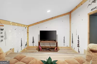 293 Scott Hollow Road, Ellijay, GA 30540 - Photo 21