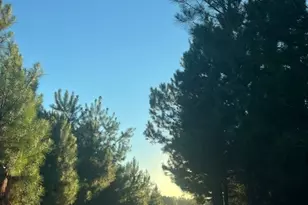 552 Sherrod Rd, Brooklet, GA 30415 - Photo 11