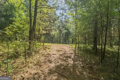 0 Old Mize, Toccoa, GA 30577 - Photo 11