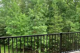 2408 Standing Meadows Dr, Young Harris, GA 30582 - Photo 55