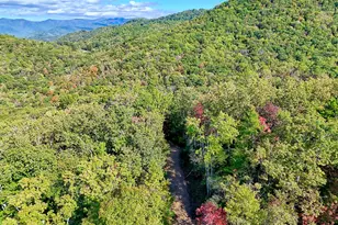 1306 Hot House Rd, Hayesville, NC 28904 - Photo 101