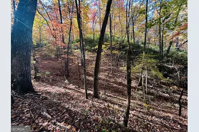 1306 Hot House Road, Hayesville, NC 28904 - Photo 123