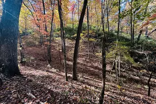 1306 Hot House Rd, Hayesville, NC 28904 - Photo 123