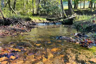 1306 Hot House Rd, Hayesville, NC 28904 - Photo 109