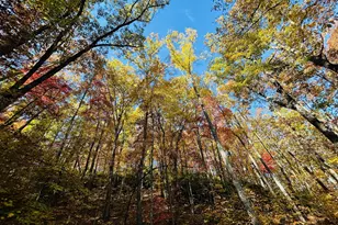 1306 Hot House Rd, Hayesville, NC 28904 - Photo 107