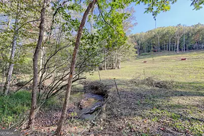 1306 Hot House Road, Hayesville, NC 28904 - Photo 89