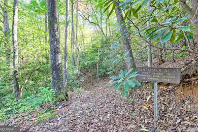 1306 Hot House Road, Hayesville, NC 28904 - Photo 81