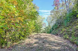 1306 Hot House Rd, Hayesville, NC 28904 - Photo 79