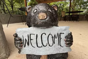 111 Maple Wood Ln, Cleveland, GA 30528 - Photo 37