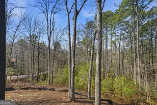 890 Joliet Drive, Ellijay, GA 30540 - Photo 37