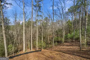 890 Joliet Drive, Ellijay, GA 30540 - Photo 35
