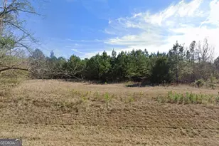 239 Canton Rd, Danville, GA 31017 - Photo 3
