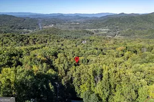 7 Spring Rd, Blairsville, GA 30512 - Photo 55