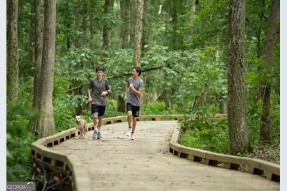 505 Juniper Lane, Fayetteville, GA 30214 - Photo 29