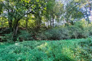 3746 Ledan Rd, Gainesville, GA 30506 - Photo 7