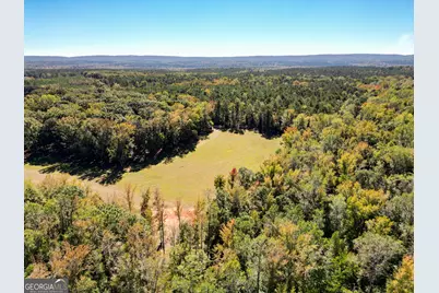 186 Beech Springs Road, Pine Mountain, GA 31822 - Photo 31