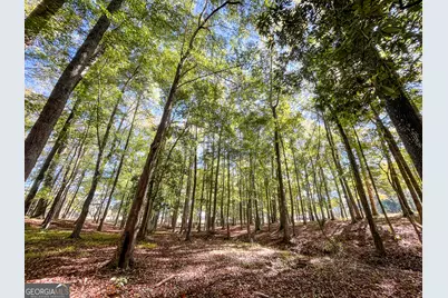 186 Beech Springs Road, Pine Mountain, GA 31822 - Photo 47