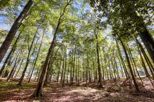 186 Beech Springs Rd, Pine Mountain, GA 31822 - Photo 47