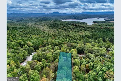 299 W John Smith Road W, Blairsville, GA 30512 - Photo 39