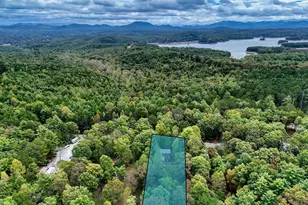 299 W John Smith Road W, Blairsville, GA 30512 - Photo 39