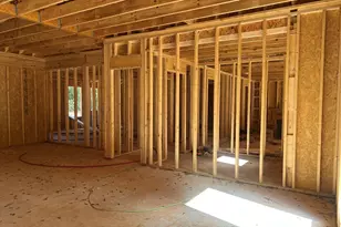 225 Panola Rd, Jackson, GA 30233 - Photo 5