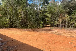 225 Panola Rd, Jackson, GA 30233 - Photo 11