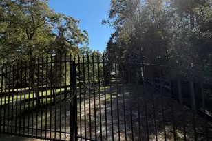 1621 St Marys River Bluff Rd, Saint George, GA 31562 - Photo 3