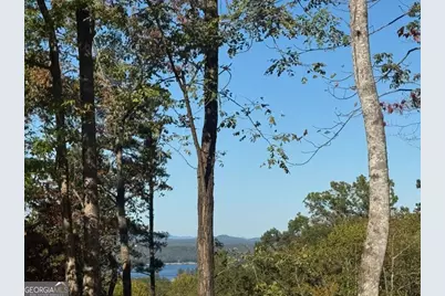 120 Green Ridge Road, Blue Ridge, GA 30513 - Photo 3