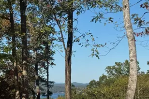 120 Green Ridge Rd, Blue Ridge, GA 30513 - Photo 3