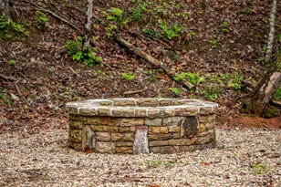 120 Green Ridge Rd, Blue Ridge, GA 30513 - Photo 69