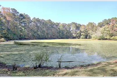 145 Holly Hill Road, Fayetteville, GA 30214 - Photo 75