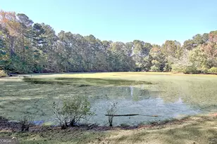 145 Holly Hill Rd, Fayetteville, GA 30214 - Photo 75