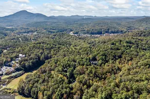 159 Zeppelin Strasse, Helen, GA 30545 - Photo 85