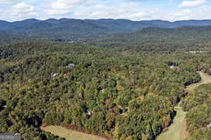 159 Zeppelin Strasse, Helen, GA 30545 - Photo 79