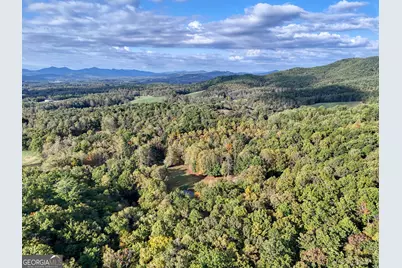 1837 Deep South Farm Road, Blairsville, GA 30512 - Photo 73