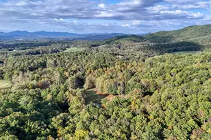 1837 Deep South Farm Rd, Blairsville, GA 30512 - Photo 73