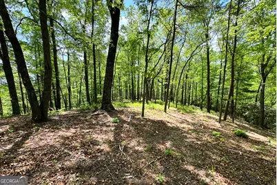 0 Lawrence Road, Dawsonville, GA 30534 - Photo 11