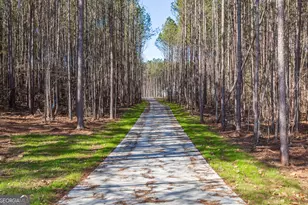 175 Mobley Rd, Griffin, GA 30223 - Photo 47