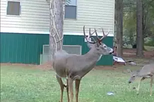 211 Lakeview Dr, Sandersville, GA 31082 - Photo 13