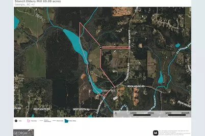 1505 Elders Mill Road, Senoia, GA 30276 - Photo 3