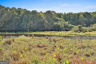 1505 Elders Mill Rd, Senoia, GA 30276 - Photo 59