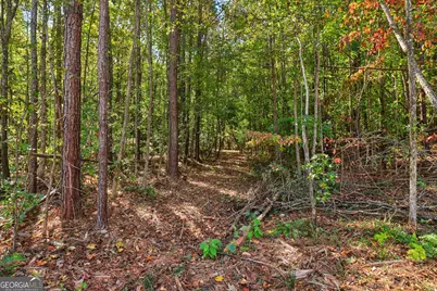 150 Wilson Drive, McDonough, GA 30252 - Photo 71