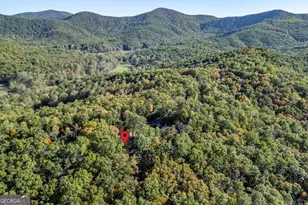 210 Mt Pleasant Ridge, Blairsville, GA 30512 - Photo 73