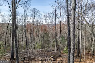 210 Mt Pleasant Ridge, Blairsville, GA 30512 - Photo 49