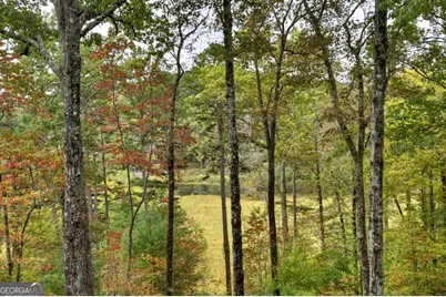 28 Fish Camp Way, Mineral Bluff, GA 30559 - Photo 25