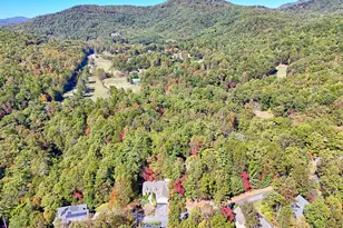 52 Breton Highlands Ct, Clayton, GA 30525 - Photo 63