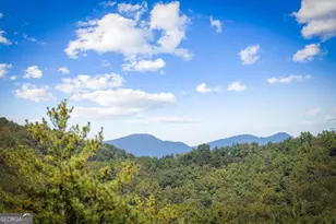 588 Bell Cp Rdg Rd, Blue Ridge, GA 30513 - Photo 3