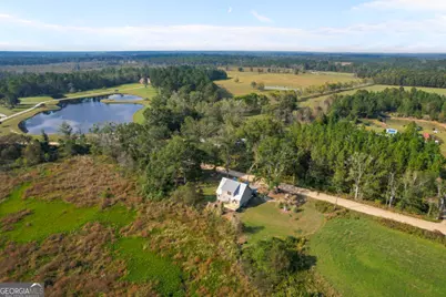 468 Lake Lannell Road, Odum, GA 31555 - Photo 33