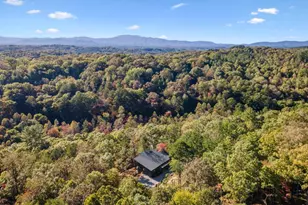 65 Wolf Creek Heights, Mineral Bluff, GA 30559 - Photo 47